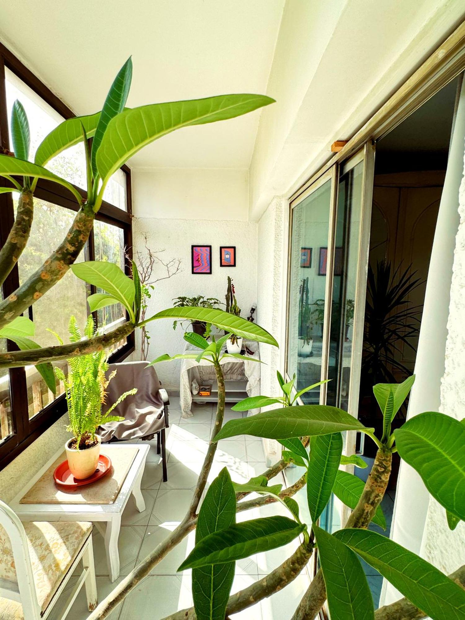 Large Room With Its Own Balcony Le Caire Extérieur photo
